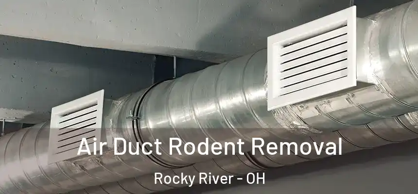  Air Duct Rodent Removal Rocky River - OH