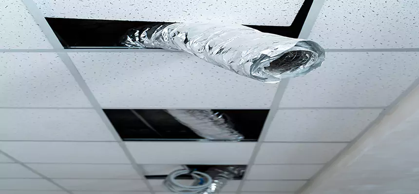 Affordable HVAC Sanitizing After Pest Removal in Rocky River