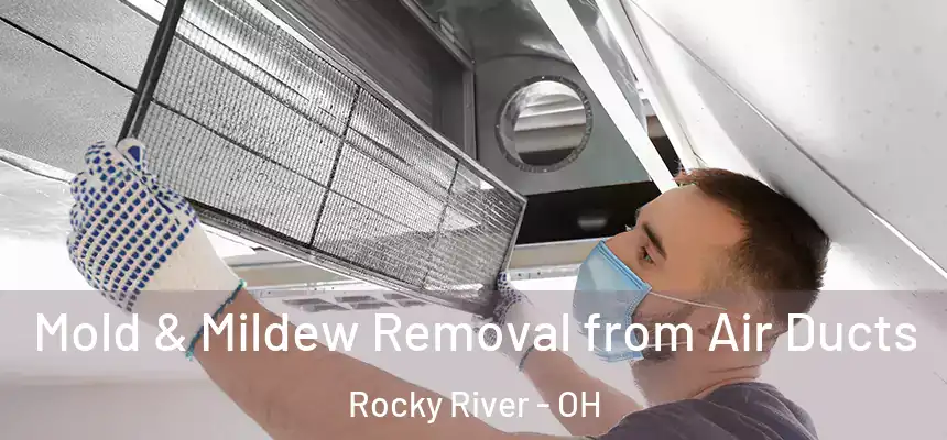 Mold & Mildew Removal from Air Ducts Rocky River - OH