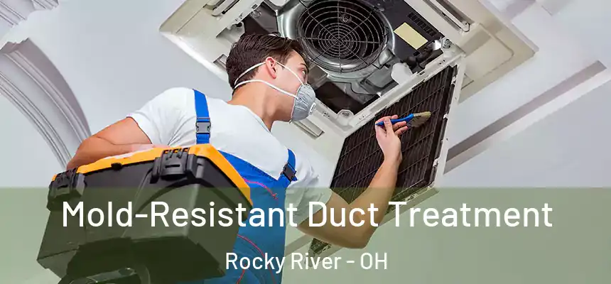 Mold-Resistant Duct Treatment Rocky River - OH