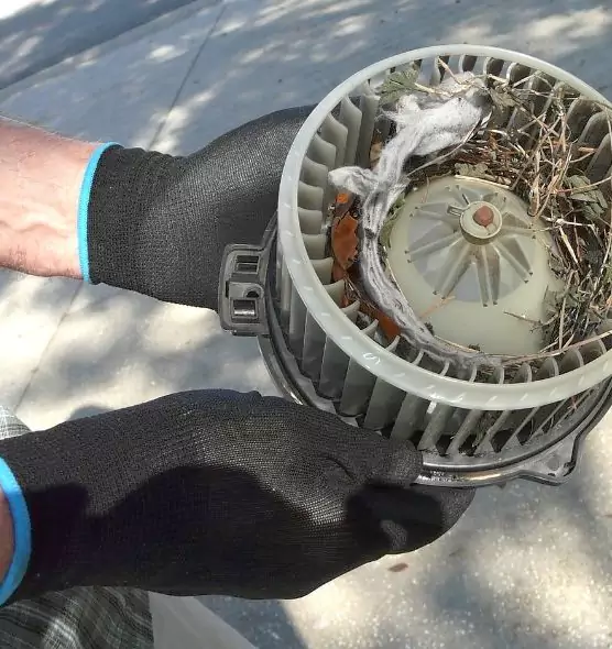 About Air Duct Mice Removal in Rocky River, OH