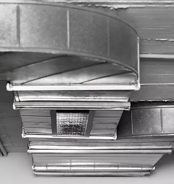 Professional Air Duct Pet Hair Removal in Rocky River, OH