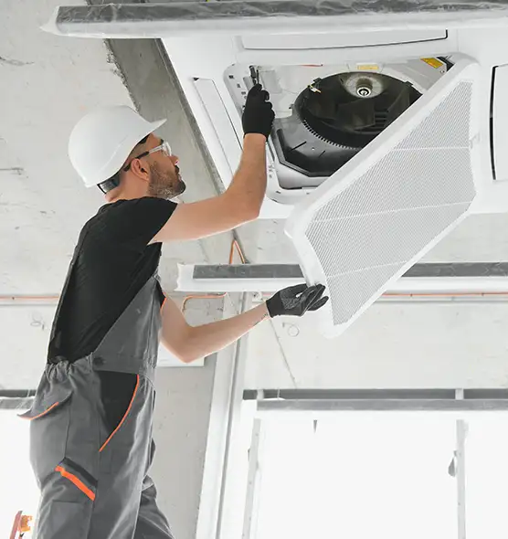 About Air Duct Rodent Removal in Rocky River, OH