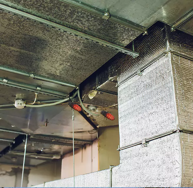 Why Homeowners & Businesses Trust Us in Rocky River, OH?