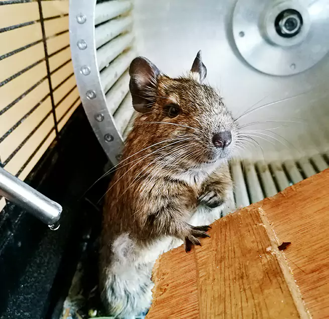 Why Homeowners & Businesses Trust Us Rocky River, OH