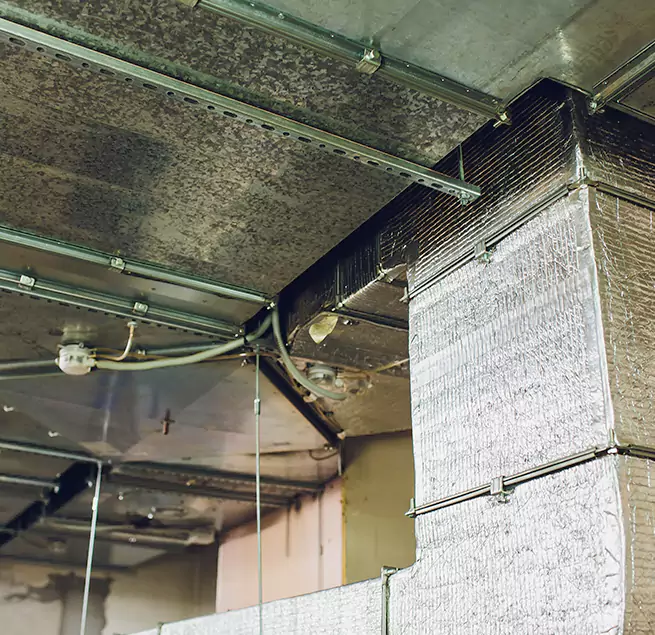 Why Homeowners & Businesses Trust Us in Rocky River, OH?